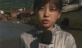 央视爆料王冰冰最新消息,王冰冰最新动态揭秘