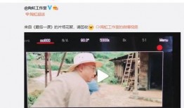 陶虹车祸爆料视频最新版,事故现场细节曝光，网友热议