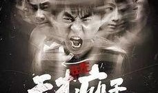 天才在左疯子在右电视剧,揭秘天才在左疯子在右的剧情魅力