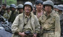 抗日战争电视剧大全,抗日战争电视剧大全回顾