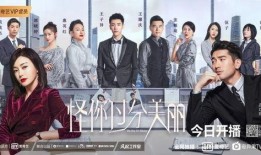 电视剧新剧上映时间表,精彩剧集轮番登场，年度剧迷盛宴即将开启