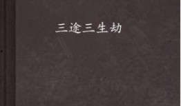 三途在线观看,穿越生死，探寻轮回之谜