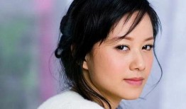 倪虹洁电视剧,演绎人生百态，展现独特魅力