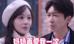 再爱我一次电视剧,爱恨交织的情感纠葛，命运轮回的感人故事