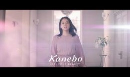 日本明星被爆料视频,真相与争议