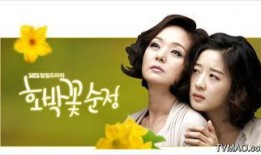 南瓜花的纯情 电视剧,青春校园的纯真岁月