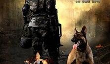 神犬奇兵全集在线观看,忠诚守护，勇闯天涯的军犬传奇