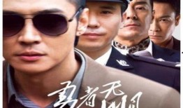 勇者无惧电视剧,逆流而上的英雄传奇