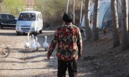 新季节爆料耳坠事件视频,耳坠事件视频揭秘