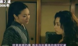 日本经典电视剧,穿越时空的情感之旅