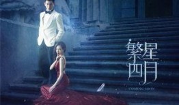 繁星电视剧,青春校园的璀璨传奇