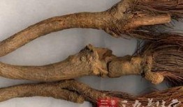 麻豆疮,探究病因、症状及防治策略