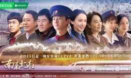 电视剧 排行榜,盘点年度热门剧集，揭秘观众心选佳作