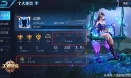 哪可以看王者的最新爆料,最新爆料带你领略游戏新篇章