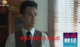 卫视回放在线观看