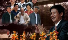 电视剧忠诚全集,揭秘特工风云，信仰与牺牲的忠诚赞歌