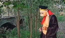 爆料搞笑猪八戒视频大全,搞笑视频大全，笑料横生，欢乐无限