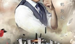 电视剧双刺大结局介绍,生死抉择，爱恨交织的终极对决