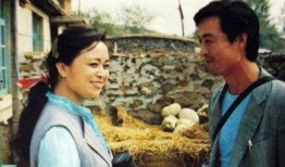 篱笆女人和狗电视剧,情感纠葛与时代变迁的农村生活画卷