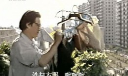 好爸爸坏爸爸电视剧,育儿路上的爱与挑战