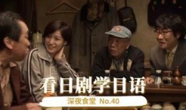 电视剧日语,穿越时空的浪漫传奇