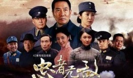 电视剧忠者无敌演员表,实力派明星齐聚一堂