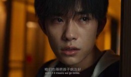 小鹰前妻爆料视频,揭秘婚姻内幕与情感纠葛