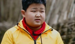 杜华节目爆料最新消息,娱乐圈最新动态大揭秘！