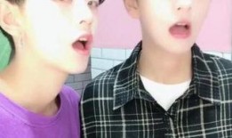 刘梦麻豆1688,揭秘时尚界的璀璨新星